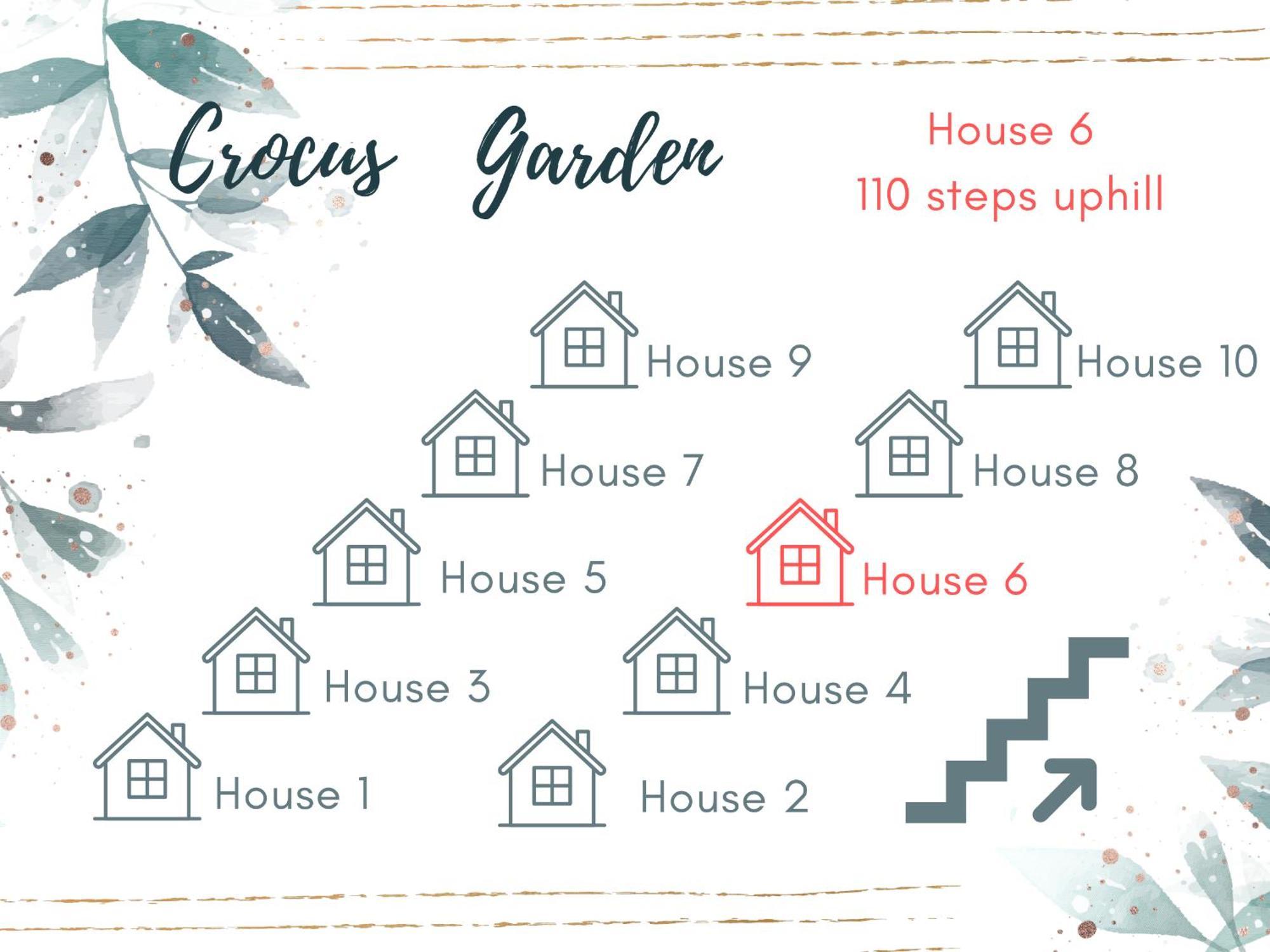 Crocus Garden